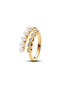 Pandora Damenring Pandora Timeless 163146C01-56