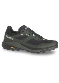 Dolomite Nibelia GTX Wanderschuhe Men (Gr 47 2/3 |grau |wasserdicht)