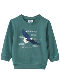 Topolino Kinder Sweatshirt mit Weißkopfseeadler-Motiv