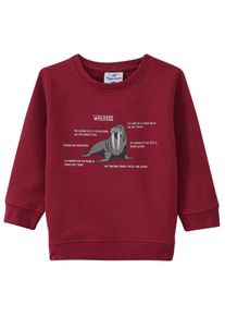 Topolino Kinder Sweatshirt mit Walross-Motiv