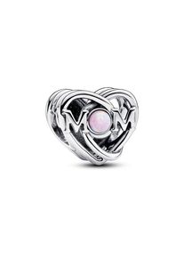 Pandora Charm Moments 793233C01