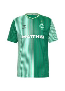 Hummel Werder Bremen 23-24 Heim Teamtrikot Herren grün L