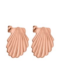PURELEI Shell Ohrringe