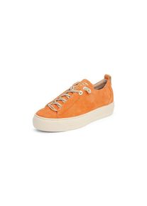Sneaker Paul Green orange