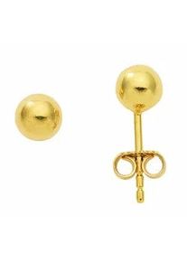 Paar Ohrhänger ADELIA ́S "Damen Goldschmuck 1 333 Gold Ohrringe / Ohrstecker Ø 5 mm" Gr. Damen, Gelbgold 333, goldfarben (gold) Damen 333 Gold Goldschmuck für