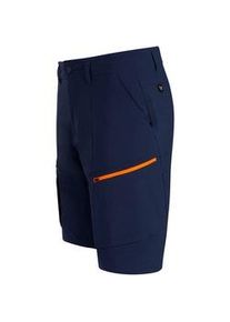 Herren Shorts Salewa Puez DST M Cargo Shorts Navy Blazer L - Blau - L