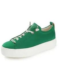 Sneaker Paul Green grün, 38