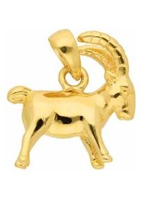 Ketten-Anhänger ADELIA ́S "585 Gold Sternzeichen Anhänger Steinbock" Schmuckanhänger Gr. Damen, Steinbock, Gelbgold 585, goldfarben (gold) Damen Goldschmuck für & Herren