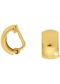 Paar Ohrhänger ADELIA ́S "1 333 Gold Ohrringe / Ohrclips" Gr. Damen, Gelbgold 333, goldfarben (gold) Damen 333 Gold Goldschmuck für