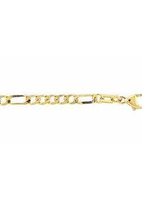 Goldarmband ADELIA ́S "333 Gold Figaro Armband 19 cm Ø 3,3 mm" Armbänder Gr. 19, Gelbgold 333, goldfarben (gold) Damen Goldschmuck für