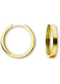 Paar Creolen ONE ELEMENT "Ohrringe aus 333 Gelbgold Ø 16,0 x 2,0 mm" Ohrringe Gr. Damen, Gelbgold 333, goldfarben (gold) Damen Gold Schmuck