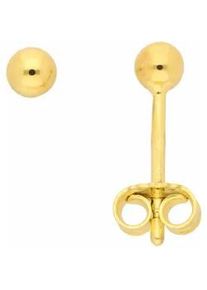 Paar Ohrhänger ADELIA ́S "333 Gold Ohrringe Ohrstecker Ø 3 mm" Gr. Damen, Gelbgold 333, goldfarben (gold) Damen Goldschmuck für