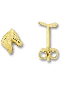 Paar Ohrhänger ONE ELEMENT "Pferd Ohrringe Ohrstecker aus 333 Gelbgold" Gr. Kinder, Gelbgold 333, goldfarben (gold) Damen Gold Schmuck Pferd