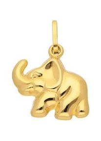 Ketten-Anhänger ADELIA ́S "333 Gold Anhänger Elefant" Schmuckanhänger Gr. Gelbgold 333, goldfarben (gold) Damen 333 Gold Goldschmuck für