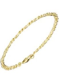 Goldarmband Jobo Armbänder Gr. Gelbgold 333, goldfarben (gelbgold 333) Damen 333 Gold massiv 19 cm