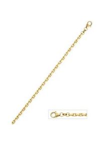 Goldarmband Jobo "Anker-Armband" Armbänder Gr. Gelbgold 333, goldfarben (gelbgold 333) Damen Ankerarmband 333 Gold diamantiert 21 cm