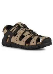 Sandale Geox "UOMO SANDAL STRADA C" Gr. 40, schwarz (helltaupe-schwarz) Herren Schuhe Sommerschuh, Klettschuh, Outdoorsandale, mit Lederfußbett