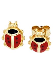 Jobo Damen Paar Ohrstecker "Marienkäfer", Gelbgold 333, gold, Gelbgold 333, Ohrringe, 333 Gold