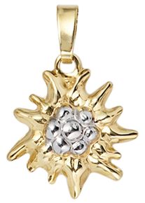 Jobo Damen Ketten-Anhänger "Anhänger Edelweiß", Gelbgold 333, gold, Gelbgold 333, Schmuckanhänger, 333 Gold bicolor