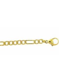 Goldarmband ADELIA ́S "Damen Goldschmuck 333 Gold Figaro Armband 19 cm" Armbänder Gr. 19, Gelbgold 333, goldfarben (gold) Damen 19 cm 333 Gold Goldschmuck für