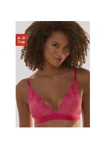 Bralette Lascana "Marla" Gr. 80, Cup A, pink Damen BHs ohne Bügel aus einzigartiger Spitze, Dessous