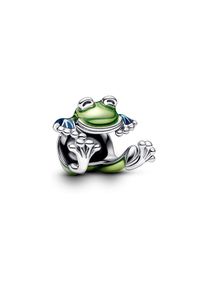 Pandora Charm Moments 793342C01