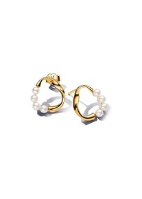 Pandora Ohrstecker Essence 263276C01