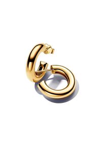 Pandora Creolen Essence 263266C00