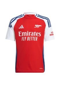 Adidas Arsenal London 24-25 Heim Teamtrikot Kinder, Größe: 176