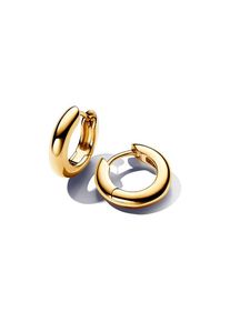 Pandora Creolen Essence 263320C00