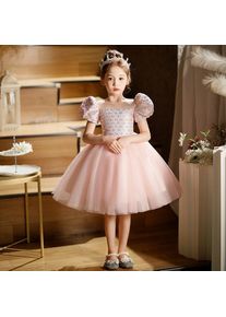 Children Dress Mädchen Kleid High-End-Kinder Kleid Rosa Mädchen Geburtstag Prinzessin Kleid Puffy Garn