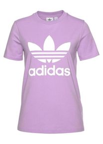 adidas originals, Damen T-Shirt 'Trefoil', Mauve / Wei&szlig;