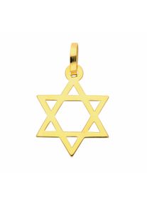 Adelia´s ADELIA ́S Damen Ketten-Anhänger "Damen Goldschmuck 585 Gold Anhänger Davidstern", Gelbgold 585, gold, Gelbgold 585, Schmuckanhänger, 585 Gold