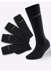 wäschepur WÄSCHEPUR Damen Kniestrümpfe, Gr. 2, schwarz, 53% Wolle, 46% Polyamid, 1% Elasthan, Socken