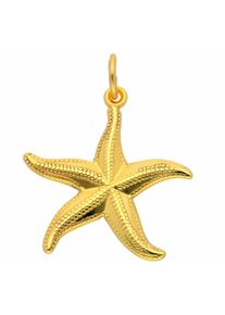 Adelia´s ADELIA ́S Damen Ketten-Anhänger "Damen Goldschmuck 333 Gold Anhänger Seestern", Gelbgold 333, gold, Gelbgold 333, Schmuckanhänger, 333 Gold
