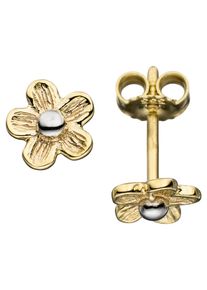 Jobo Damen Paar Ohrstecker "Blume", Gelbgold 333, gold, Gelbgold 333, Ohrringe, 333 Gold matt bicolor