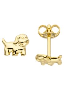 Jobo Damen Paar Ohrstecker "Hund", Gelbgold 333, gold, Gelbgold 333, Ohrringe, 333 Gold