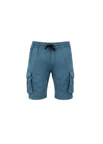 Herren Sweatshorts "Alpha Industries Men - Shorts Cotton Twill Jogger Short", blau, Gr. L, Alpha Industries, Obermaterial: 98% Baumwolle, 2% Elastan,