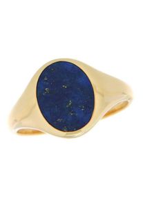 Firetti Herren Goldring "Schmuck Geschenk Gold 585 Herrenring Goldring Edelstein Farbstein", 19, Gelbgold 585, gold, Gelbgold 585, Fingerringe, mit