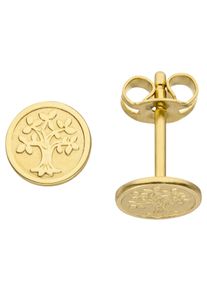 Jobo Damen Paar Ohrstecker "Lebensbaum", Gelbgold 333, gold, Gelbgold 333, Ohrringe, 333 Gold