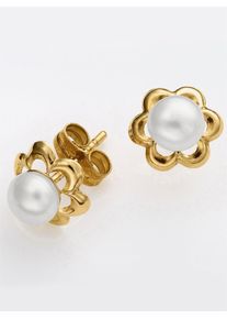 Lady Damen Paar Ohrstecker, Perlen, gold, Perlen, Ohrringe
