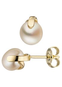 Jobo Damen Perlenohrringe, Gelbgold 585-Perlen, gelb, Gelbgold 585, Perlen, Ohrringe, 585 Gold mit Süßwasser-Zuchtperlen