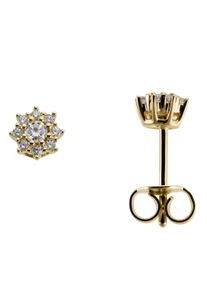 Firetti Damen Paar Ohrstecker "Schmuck Geschenk Gold 333 Ohrschmuck Sterne", Gelbgold 333, gold, Gelbgold 333, Ohrringe, mit Zirkonia (synth.)