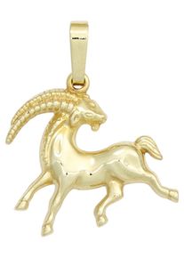 Jobo Damen Sternzeichen-Anhänger "Sternzeichen Steinbock", Gelbgold 333, gold, Gelbgold 333, Schmuckanhänger, 333 Gold