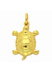 Adelia´s ADELIA ́S Damen Ketten-Anhänger "Damen Goldschmuck 585 Gold Anhänger Schildkröte", Gelbgold 585, gold, Gelbgold 585, Schmuckanhänger, 585 Gold