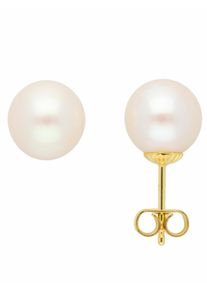 Adelia´s ADELIA ́S Damen Paar Ohrhänger "1 Paar 333 Gold Ohrringe / Ohrstecker mit Süßwasser Zuchtperle", Damen, Gelbgold 333, gold, Gelbgold 333, Ohrringe,