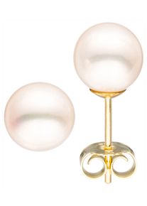 Jobo Damen Paar Ohrstecker, Gelbgold 585-Perlen, gelb, Gelbgold 585, Perlen, Ohrringe, 585 Gold mit Süßwasser-Zuchtperlen 7,5 mm
