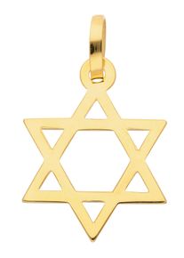 Adelia´s ADELIA ́S Damen Ketten-Anhänger "585 Gold Anhänger Davidstern", Gelbgold 585, gold, Gelbgold 585, Schmuckanhänger, Goldschmuck für Damen