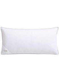 3-Kammer-Kopfkissen Otto Keller, B:40cm L:80cm, weiß, Bezug: 100% Baumwolle. Füllung Außenkammer: 100% Daunen. Füllung Innenkammer: 100% Federn,