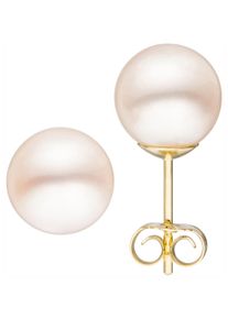 Jobo Damen Paar Ohrstecker, Gelbgold 585-Perlen, gelb, Gelbgold 585, Perlen, Ohrringe, 585 Gold mit Süßwasser-Zuchtperlen 8 mm